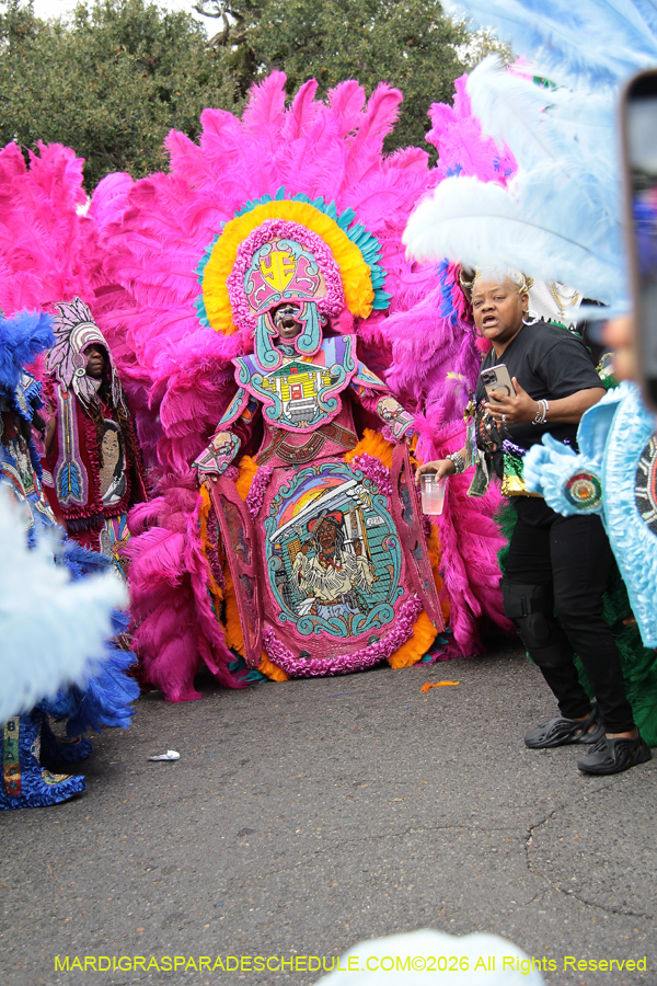 Mardi-Gras-Day-2026-13245