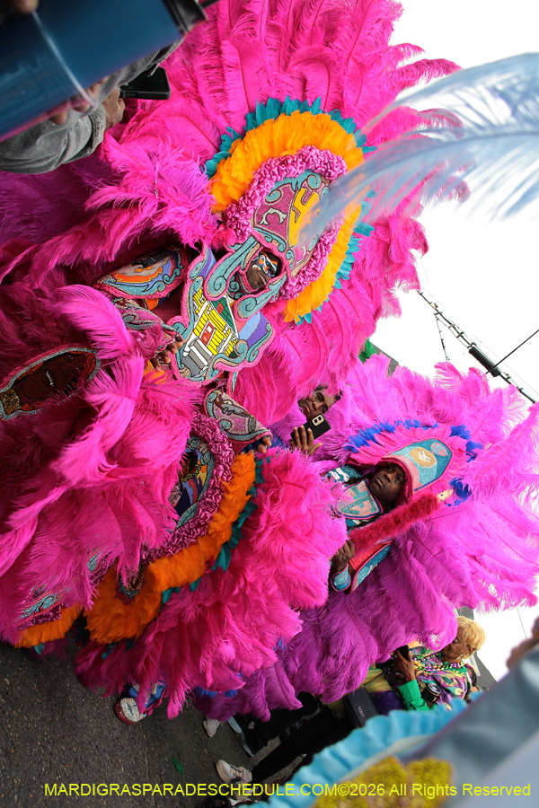 Mardi-Gras-Day-2026-13246