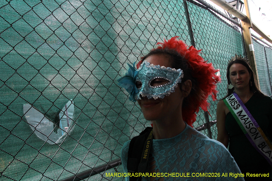 Mardi-Gras-Day-2026-13286