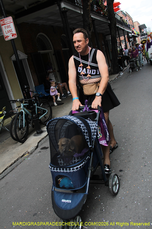 Mardi-Gras-Day-2026-13295