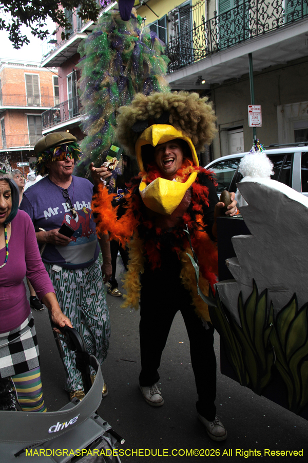 Mardi-Gras-Day-2026-13298