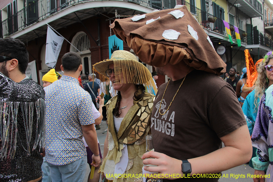 Mardi-Gras-Day-2026-13300