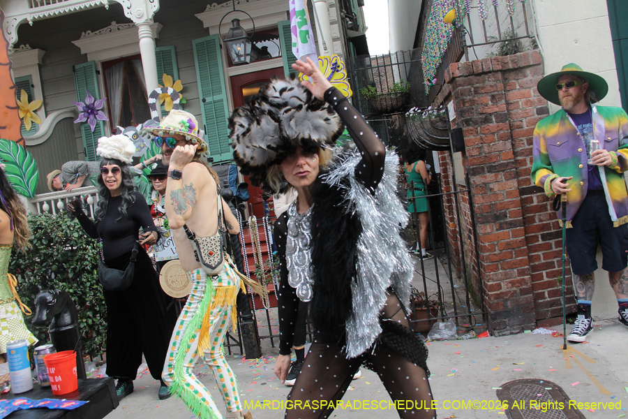 Mardi-Gras-Day-2026-13337