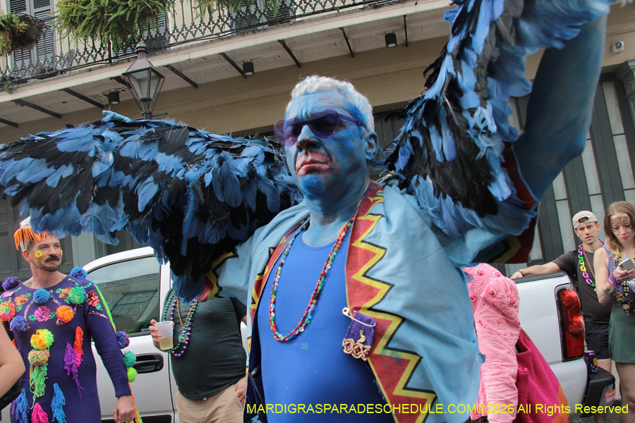 Mardi-Gras-Day-2026-13339