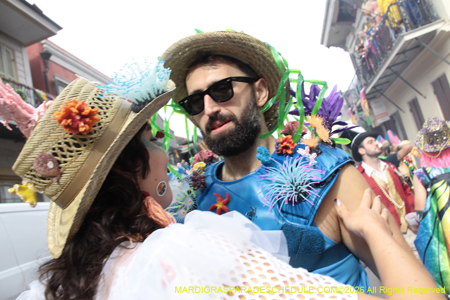 Mardi-Gras-Day-2026-13343