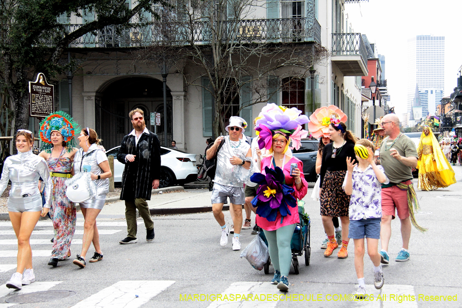 Mardi-Gras-Day-2026-13348
