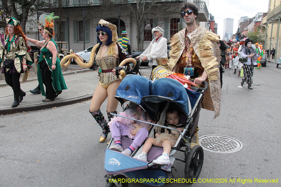 Mardi-Gras-Day-2026-13365
