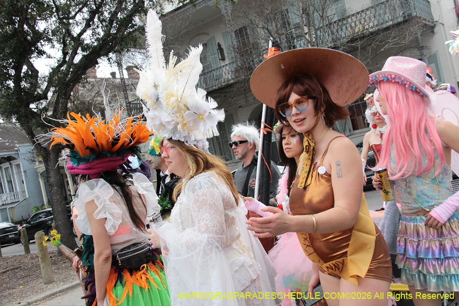 Mardi-Gras-Day-2026-13371