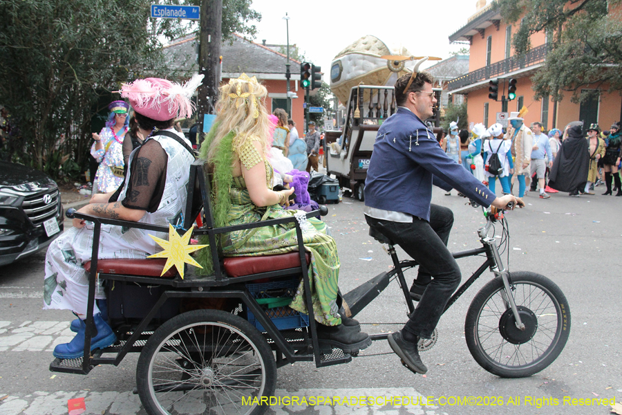 Mardi-Gras-Day-2026-13372