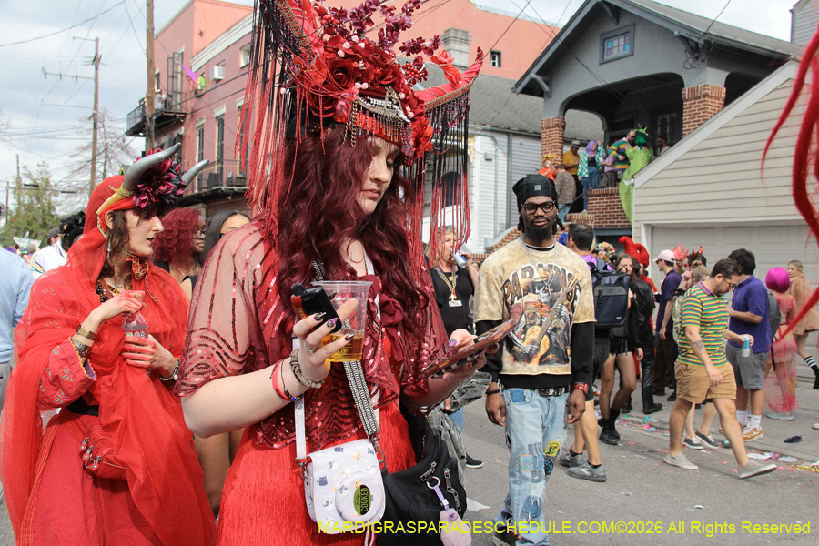 Mardi-Gras-Day-2026-13382