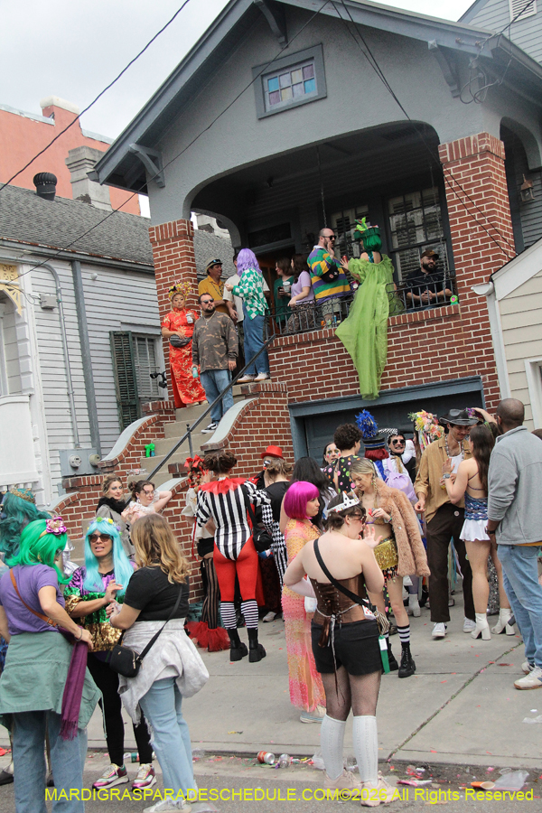 Mardi-Gras-Day-2026-13386