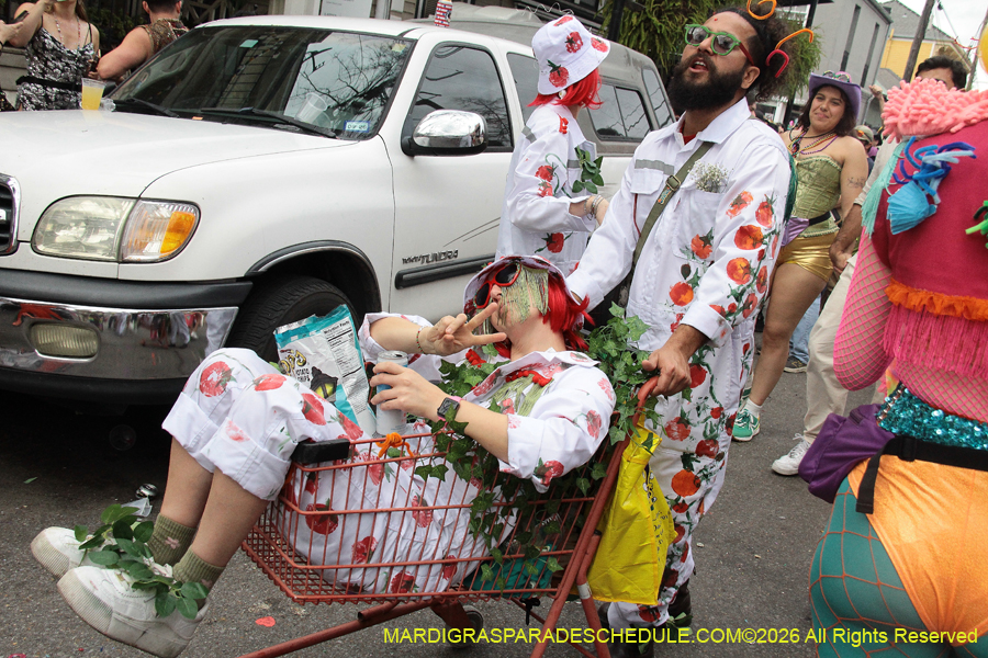 Mardi-Gras-Day-2026-13390