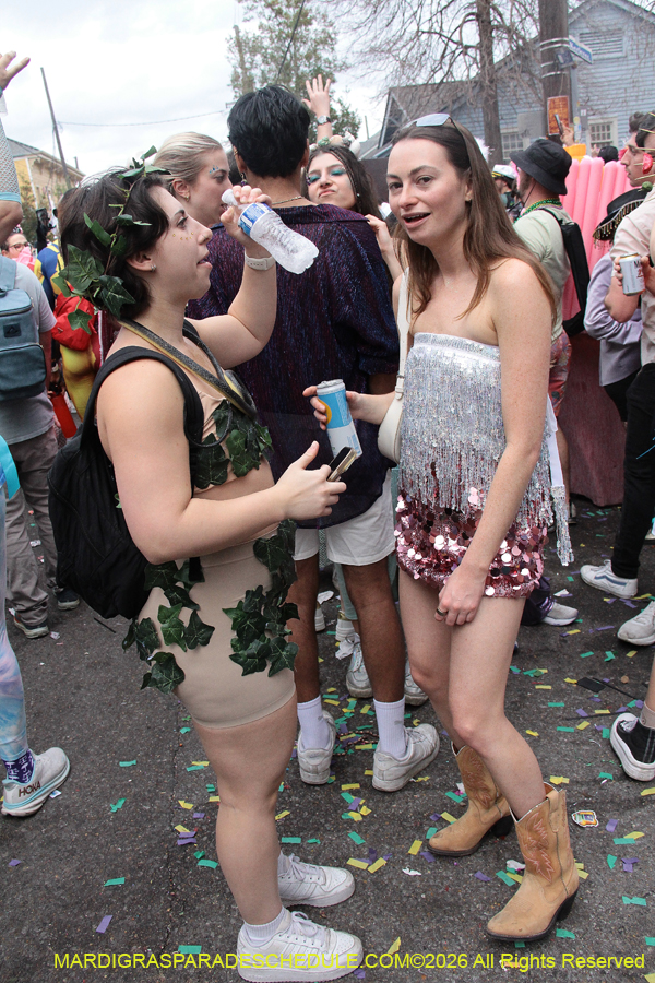 Mardi-Gras-Day-2026-13392