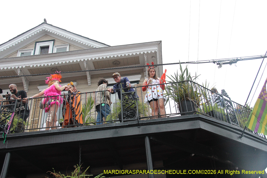 Mardi-Gras-Day-2026-13394