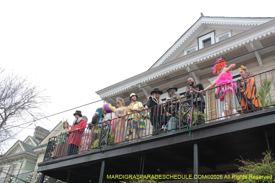 Mardi-Gras-Day-2026-13395
