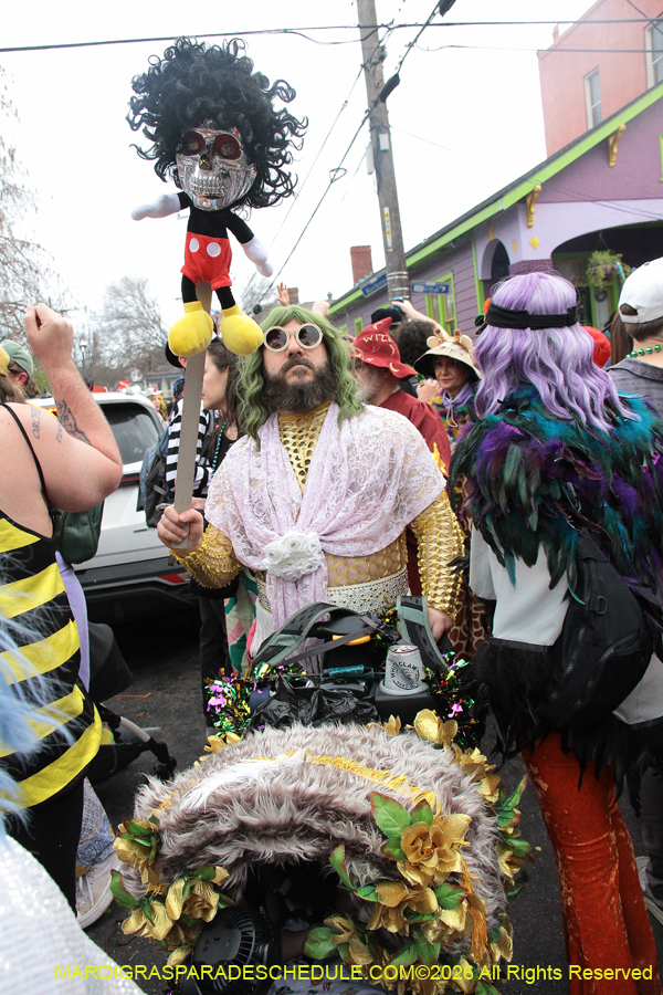 Mardi-Gras-Day-2026-13436