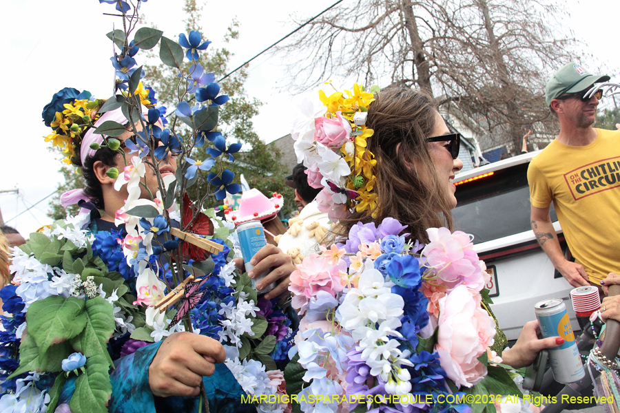 Mardi-Gras-Day-2026-13437