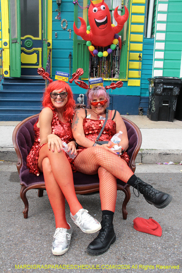 Mardi-Gras-Day-2026-13471