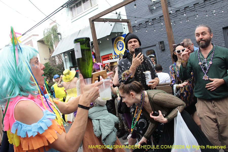 Mardi-Gras-Day-2026-13503