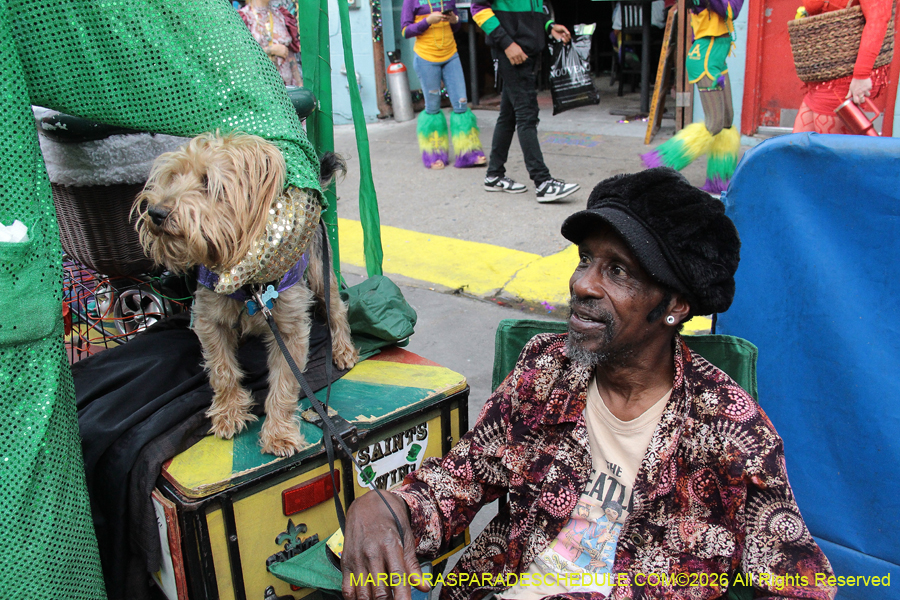 Mardi-Gras-Day-2026-13507