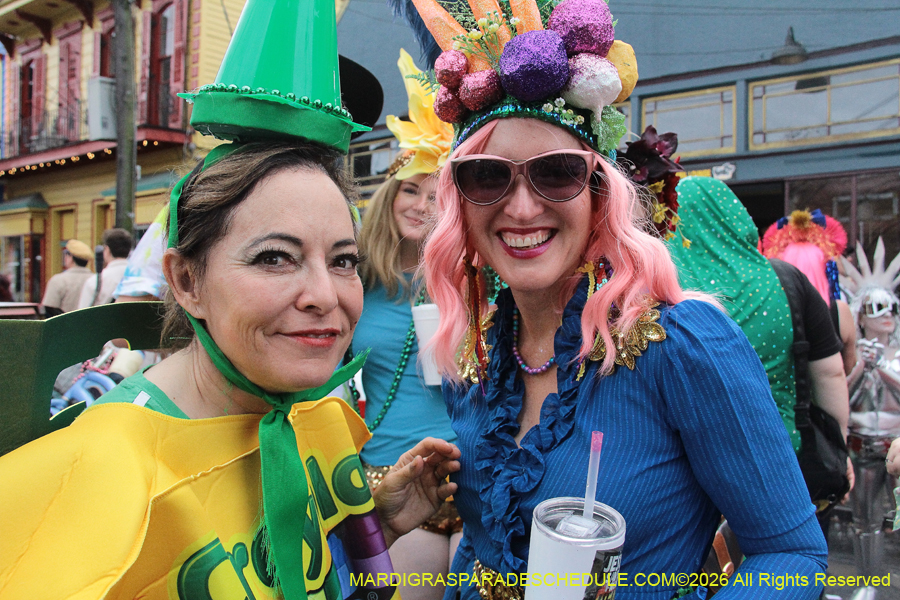 Mardi-Gras-Day-2026-13515