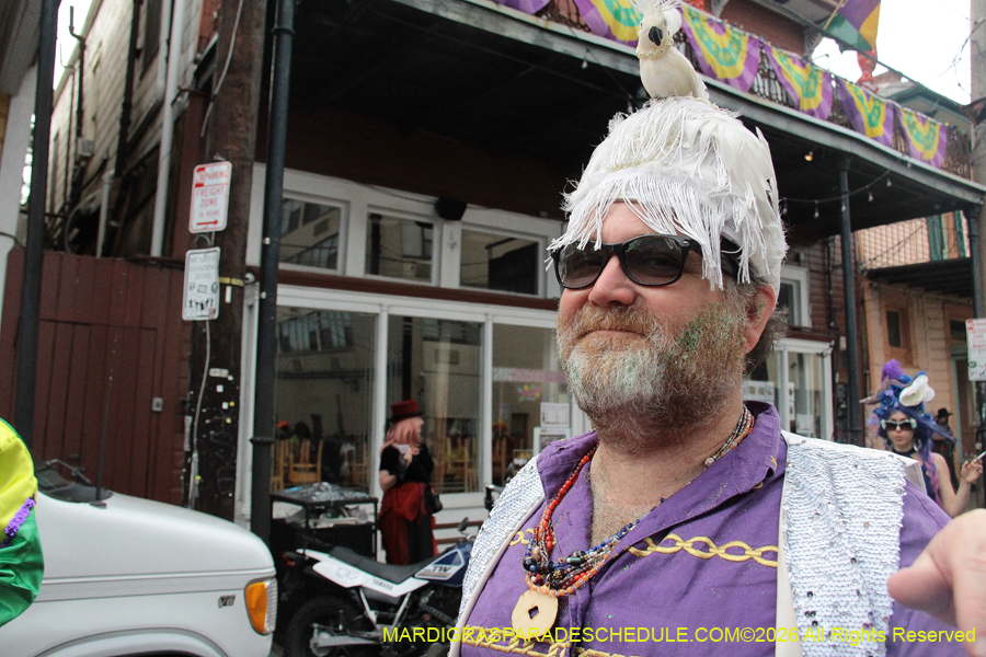 Mardi-Gras-Day-2026-13525