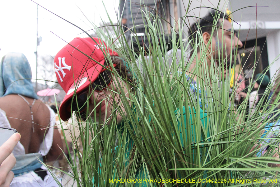 Mardi-Gras-Day-2026-13542