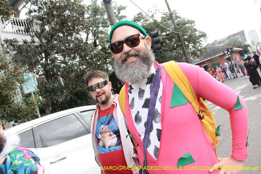 Mardi-Gras-Day-2026-13562