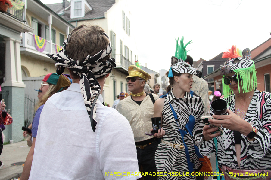 Mardi-Gras-Day-2026-13571