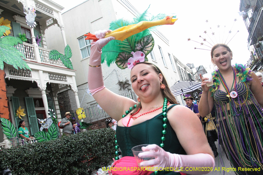 Mardi-Gras-Day-2026-13590