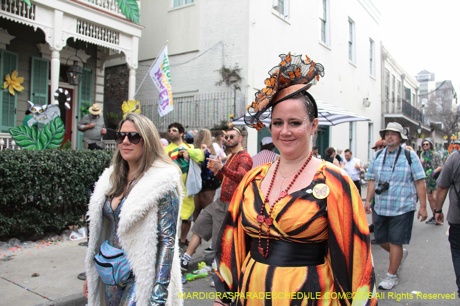 Mardi-Gras-Day-2026-13593