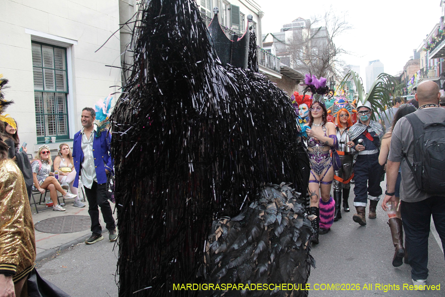 Mardi-Gras-Day-2026-13598
