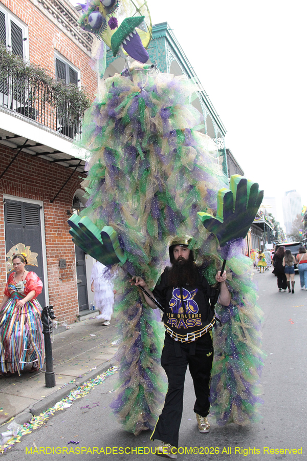 Mardi-Gras-Day-2026-13607