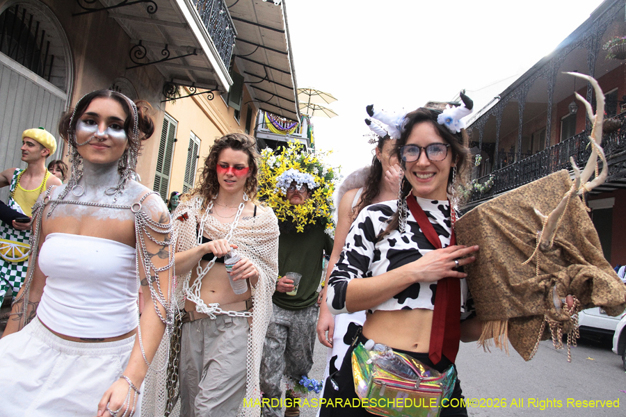 Mardi-Gras-Day-2026-13609