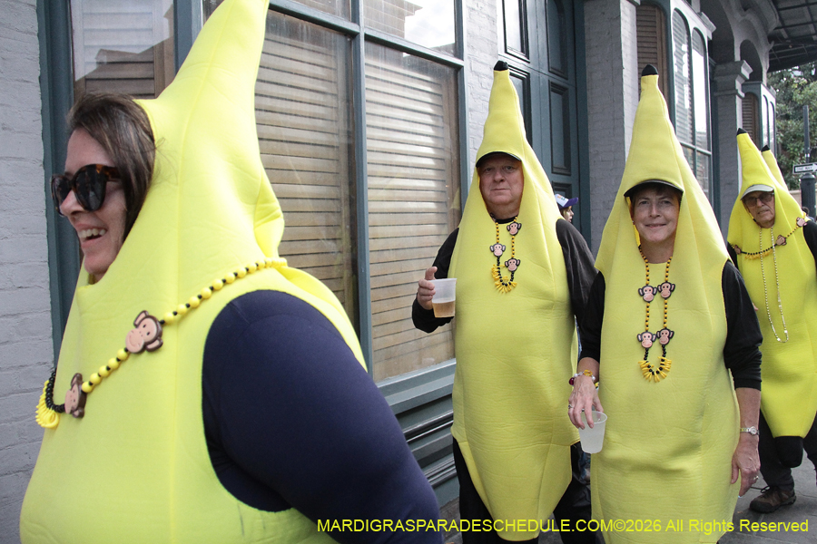 Mardi-Gras-Day-2026-13611