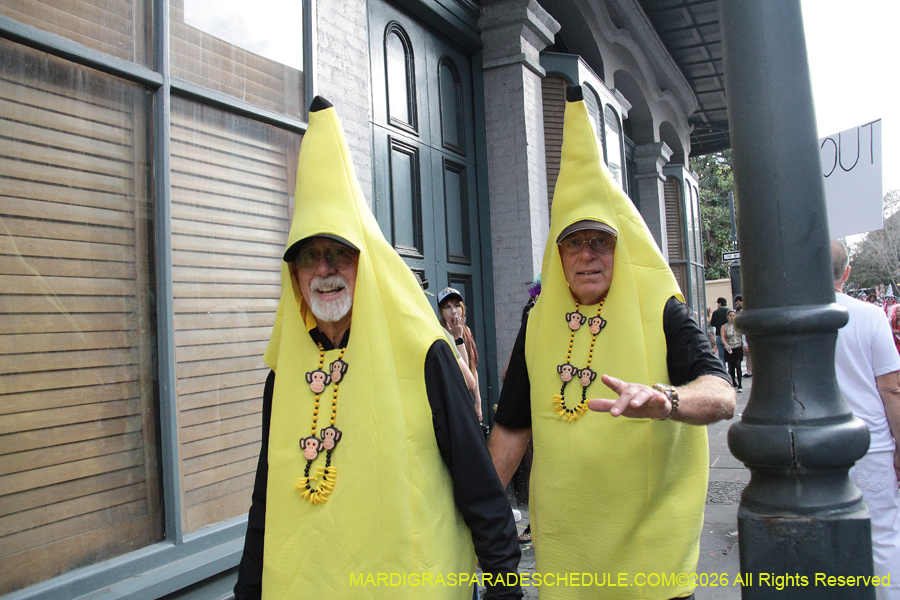 Mardi-Gras-Day-2026-13613