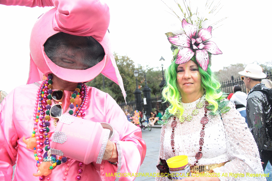 Mardi-Gras-Day-2026-13641