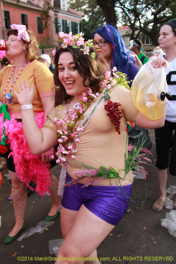 2014-Box-of-Wine-11067