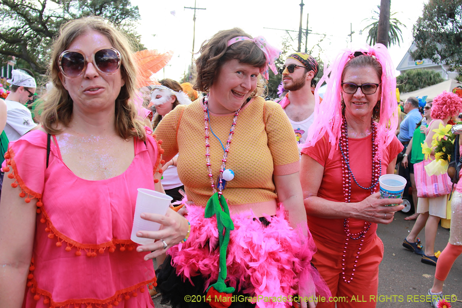 2014-Box-of-Wine-11077