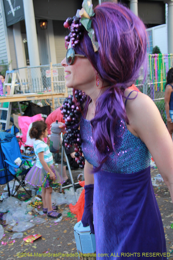 2014-Box-of-Wine-11232