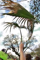 2014-Box-of-Wine-11085