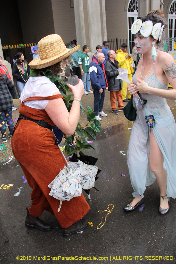 Box-of-Wine-2019-008670