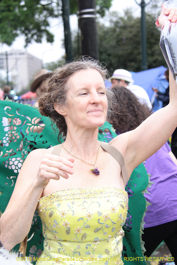 Box-of-Wine-2019-008713