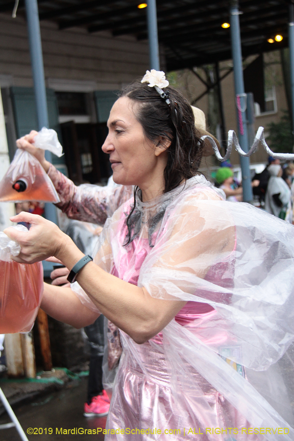 Box-of-Wine-2019-008724