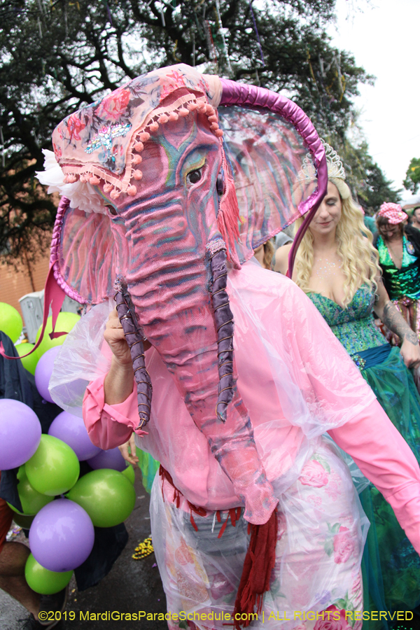 Box-of-Wine-2019-008747