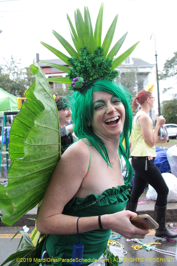 Box-of-Wine-2019-008768