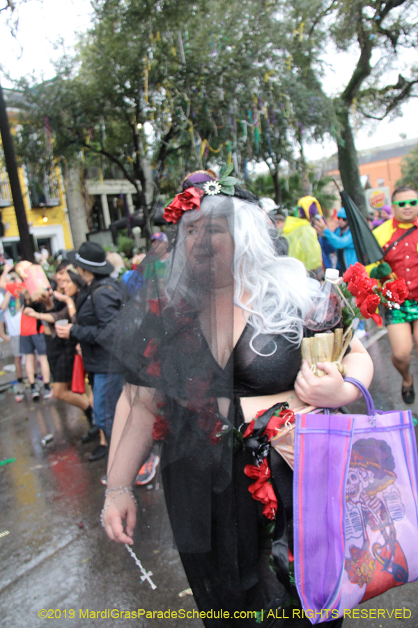 Box-of-Wine-2019-008774