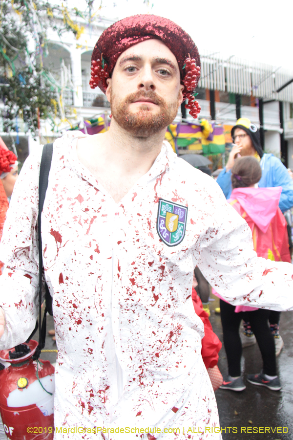 Box-of-Wine-2019-008789