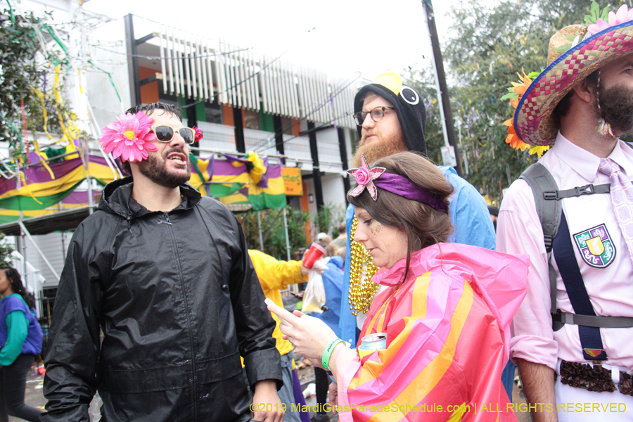 Box-of-Wine-2019-008794