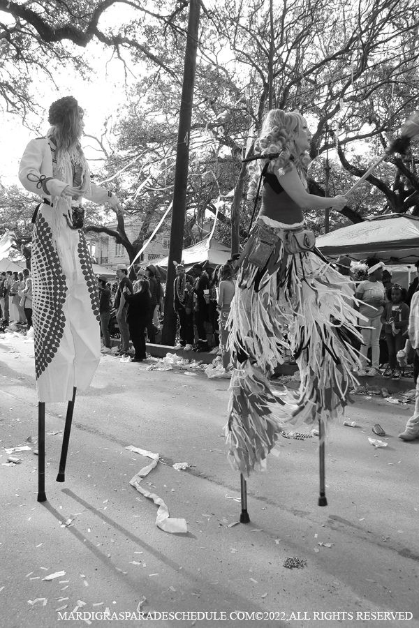 Box-of-Wine-00018-2022